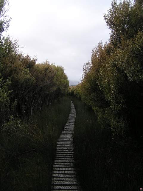 steward island 007.jpg